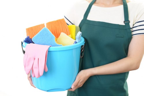 Professional pet stain odour removal in Frognal for carpets