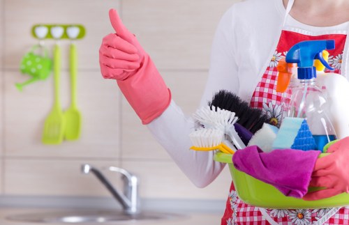 Removing lingering pet smells from rugs and carpets in Frognal