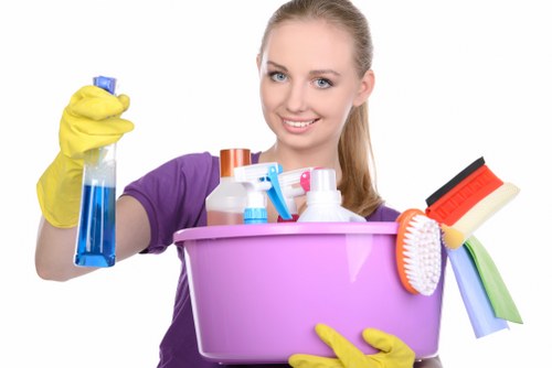 Safe fabric cleaning for stain removal in Frognal