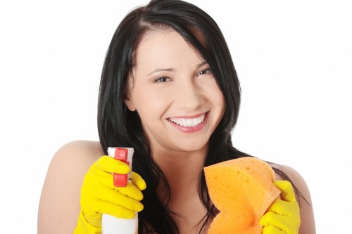 Professional carpet cleaners treating a stained carpet in a Frognal home