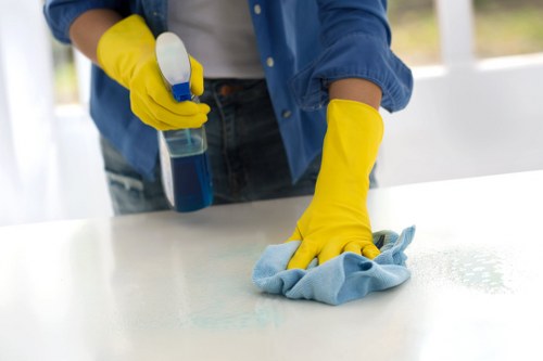 Safe and insured carpet cleaning service in progress